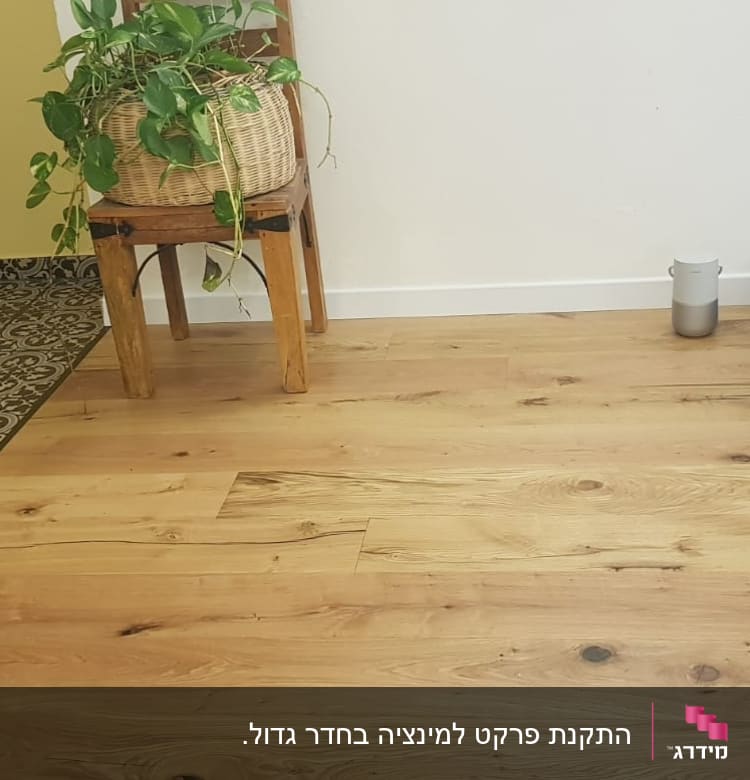 רצפת פרקט עץ בהירה עם גוונים טבעיים